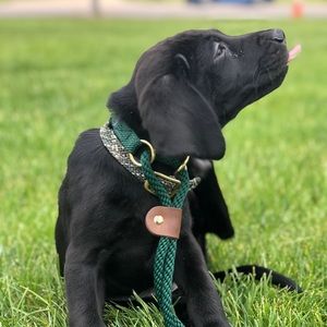 Meet your Posher, Matt